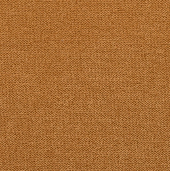 Elastron Prince — Mostaza