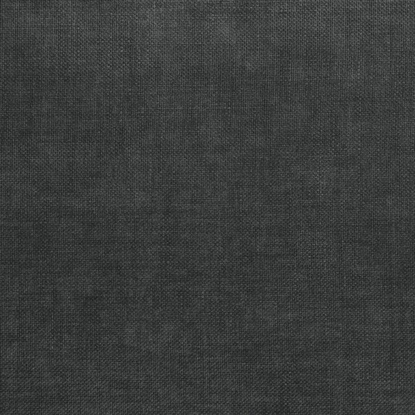 Elastron Scarlett — Anthracite
