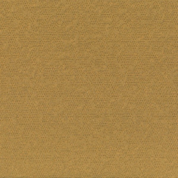 Elastron Yoga — Mostaza
