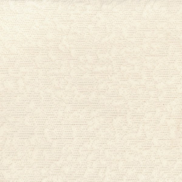 Elastron Yoga — Nata